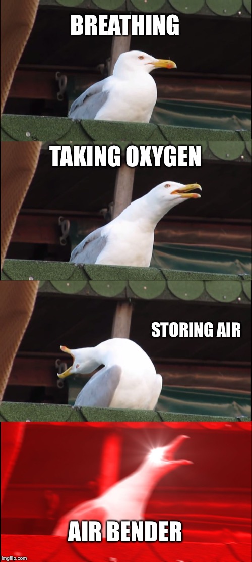 Inhaling Seagull | BREATHING; TAKING OXYGEN; STORING AIR; AIR BENDER | image tagged in memes,inhaling seagull | made w/ Imgflip meme maker