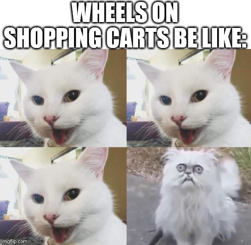 That one wheel on shopping carts | WHEELS ON SHOPPING CARTS BE LIKE: | image tagged in shopping cart cats,memes,cat,shopping cart,relatable,funny | made w/ Imgflip meme maker