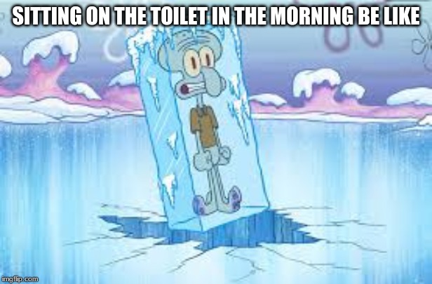cold toliet not good :( | SITTING ON THE TOILET IN THE MORNING BE LIKE | image tagged in cold weather,cold,toliet | made w/ Imgflip meme maker