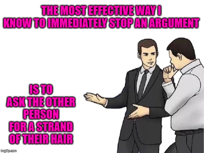 Try it...it works!!! | THE MOST EFFECTIVE WAY I KNOW TO IMMEDIATELY STOP AN ARGUMENT; IS TO ASK THE OTHER PERSON FOR A STRAND OF THEIR HAIR | image tagged in memes,car salesman slaps hood,ending an argument,funny,hair,voodoo | made w/ Imgflip meme maker