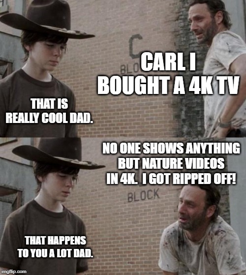 Rick and Carl | CARL I BOUGHT A 4K TV; THAT IS REALLY COOL DAD. NO ONE SHOWS ANYTHING BUT NATURE VIDEOS IN 4K.  I GOT RIPPED OFF! THAT HAPPENS TO YOU A LOT DAD. | image tagged in memes,rick and carl | made w/ Imgflip meme maker