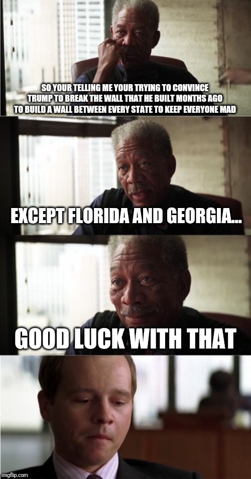 Morgan Freeman Good Luck | SO YOUR TELLING ME YOUR TRYING TO CONVINCE TRUMP TO BREAK THE WALL THAT HE BUILT MONTHS AGO TO BUILD A WALL BETWEEN EVERY STATE TO KEEP EVERYONE MAD; EXCEPT FLORIDA AND GEORGIA... GOOD LUCK WITH THAT | image tagged in memes,morgan freeman good luck | made w/ Imgflip meme maker