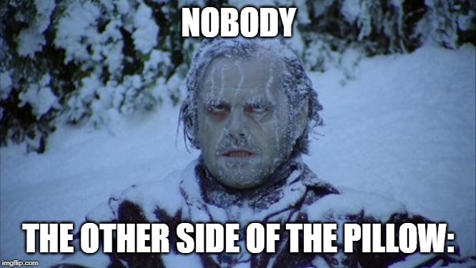 Cold | NOBODY; THE OTHER SIDE OF THE PILLOW: | image tagged in cold | made w/ Imgflip meme maker
