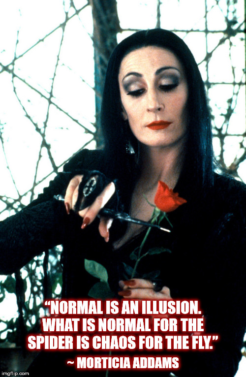 NORMAL IS AN ILLUSION... MORTICIA ADDAMS | ~ MORTICIA ADDAMS; “NORMAL IS AN ILLUSION. WHAT IS NORMAL FOR THE SPIDER IS CHAOS FOR THE FLY.” | image tagged in normal,illusion,rose,morticia,spider,fly | made w/ Imgflip meme maker