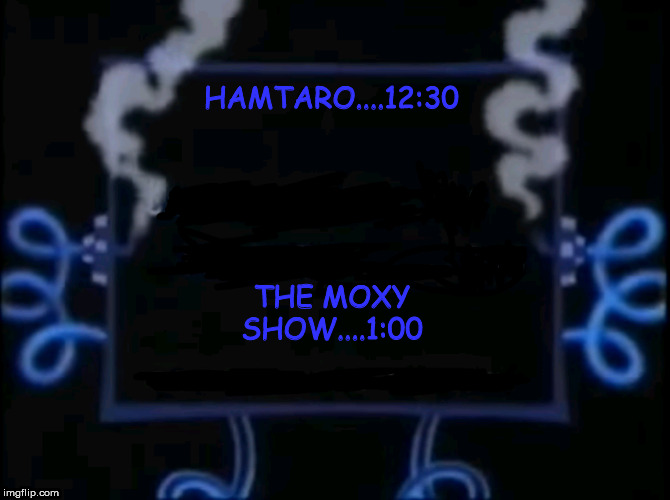 CN NEXT HAMSTER | HAMTARO....12:30; THE MOXY SHOW....1:00 | image tagged in cn next hamster | made w/ Imgflip meme maker