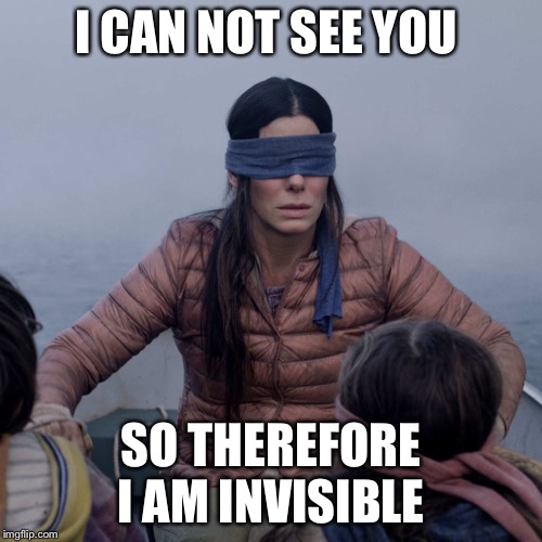 Bird Box | I CAN NOT SEE YOU; SO THEREFORE I AM INVISIBLE | image tagged in memes,bird box | made w/ Imgflip meme maker