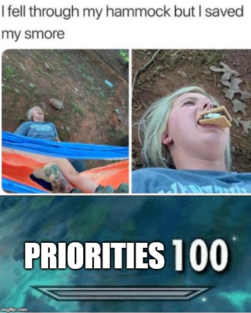 PRIORITIES | image tagged in skyrim 100 blank,memes,funny,smores,hammock,fall | made w/ Imgflip meme maker