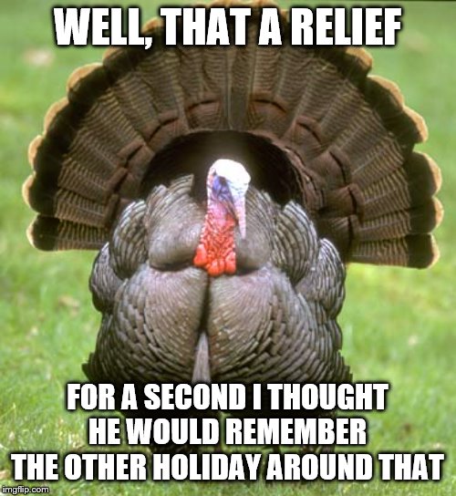 Turkey Meme | WELL, THAT A RELIEF FOR A SECOND I THOUGHT HE WOULD REMEMBER THE OTHER HOLIDAY AROUND THAT | image tagged in memes,turkey | made w/ Imgflip meme maker