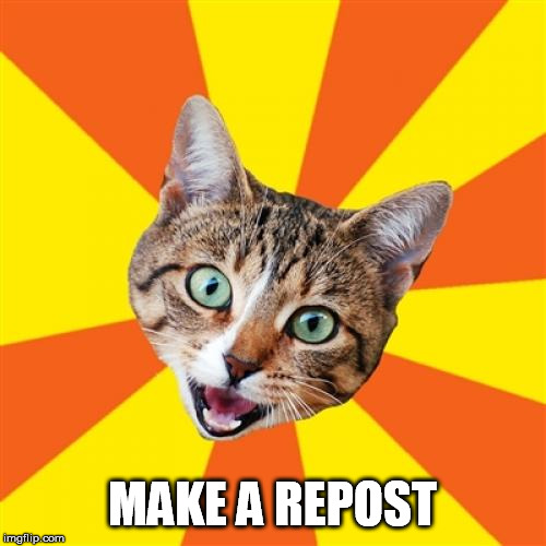 Bad Advice Cat Meme | MAKE A REPOST | image tagged in memes,bad advice cat | made w/ Imgflip meme maker