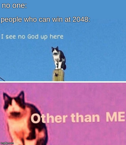 Hail pole cat | no one:; people who can win at 2048: | image tagged in hail pole cat,memes,featured,dank memes,dankmemes,dank meme | made w/ Imgflip meme maker