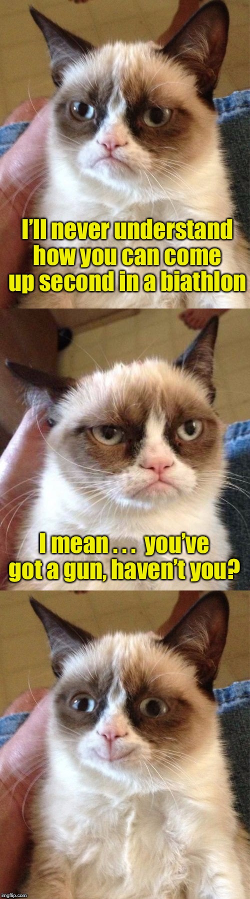 Why Grumpy Cat doesn’t do sports commentary | I’ll never understand how you can come up second in a biathlon; I mean . . .  you’ve got a gun, haven’t you? | image tagged in bad pun grumpy cat,sports,guns | made w/ Imgflip meme maker