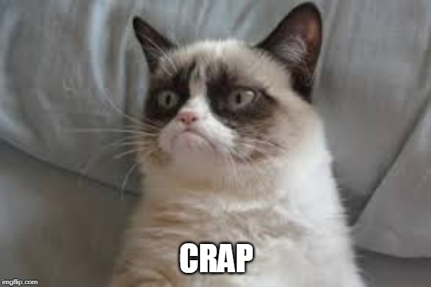 Grumpy cat | CRAP | image tagged in grumpy cat | made w/ Imgflip meme maker