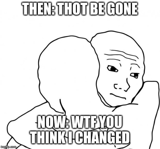 I Know That Feel Bro | THEN: THOT BE GONE; NOW: WTF YOU THINK I CHANGED | image tagged in memes,i know that feel bro | made w/ Imgflip meme maker