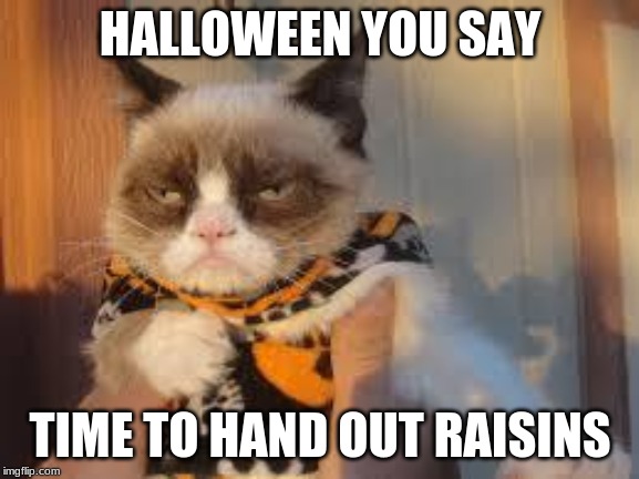 Happy Halloween! | HALLOWEEN YOU SAY; TIME TO HAND OUT RAISINS | image tagged in memes,grumpy cat halloween,grumpy cat,happy halloween | made w/ Imgflip meme maker