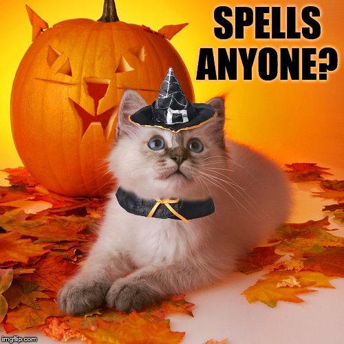 Happy Halloween! | SPELLS ANYONE? | image tagged in memes,kitten,halloween costume,witch,spells,anyone | made w/ Imgflip meme maker