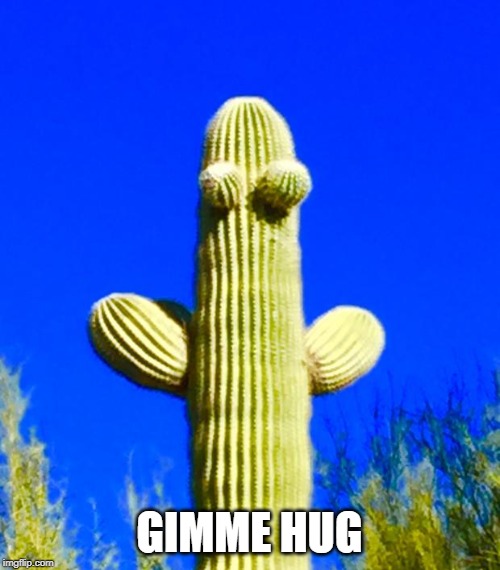 Huggy Cactus  | GIMME HUG | image tagged in huggy cactus | made w/ Imgflip meme maker