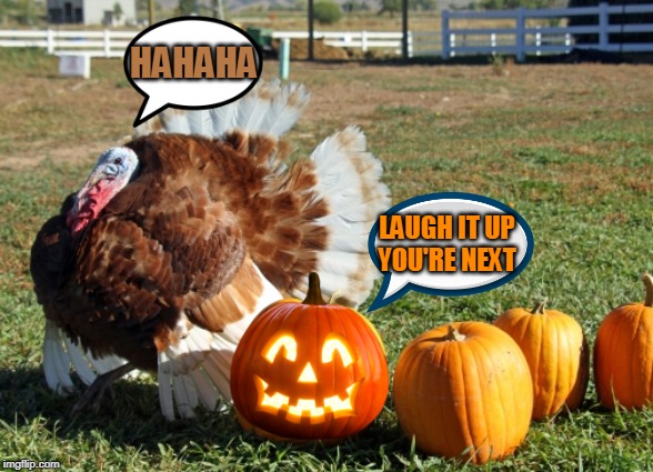 TURKEY CARVING NEXT! | HAHAHA; LAUGH IT UP
YOU'RE NEXT | image tagged in turkey,thanksgiving,halloween,jack-o-lanterns | made w/ Imgflip meme maker