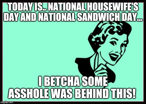 Ecard  | TODAY IS.. NATIONAL HOUSEWIFE'S DAY AND NATIONAL SANDWICH DAY... I BETCHA SOME ASSHOLE WAS BEHIND THIS! | image tagged in ecard | made w/ Imgflip meme maker