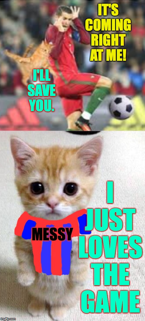 'Cause that's what heroes do  ( : | IT'S COMING RIGHT AT ME! I'LL SAVE YOU. | image tagged in memes,messy cat,football,cause that's what heroes do | made w/ Imgflip meme maker