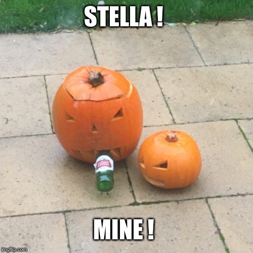 STELLA ! MINE ! | image tagged in stella | made w/ Imgflip meme maker