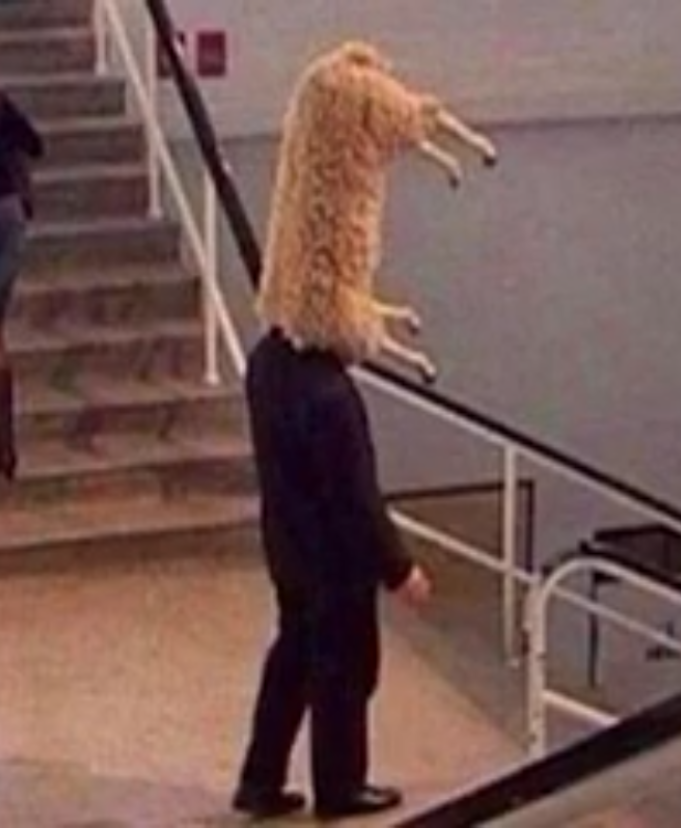 Fuck It Blank Template Imgflip