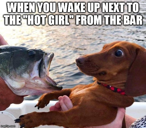 Good morning, beautiful | WHEN YOU WAKE UP NEXT TO THE ''HOT GIRL'' FROM THE BAR | image tagged in wake up,hot girl,bar,what the heck,awkward moment | made w/ Imgflip meme maker