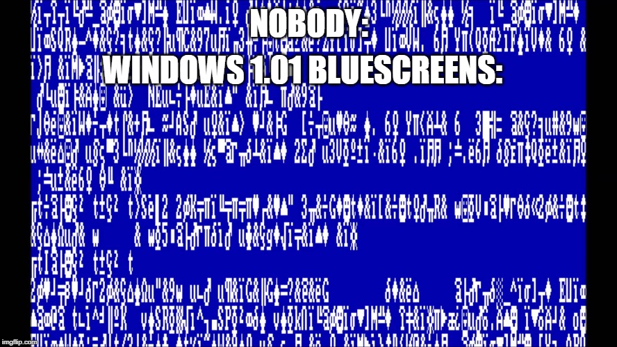 Windows 1.0 BSOD | WINDOWS 1.01 BLUESCREENS:; NOBODY: | image tagged in windows 10 bsod,memes | made w/ Imgflip meme maker