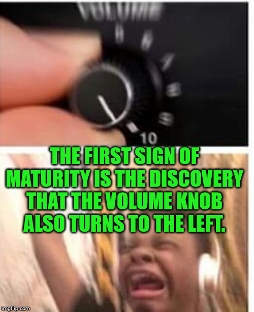 Also .... get off my lawn. | THE FIRST SIGN OF MATURITY IS THE DISCOVERY THAT THE VOLUME KNOB ALSO TURNS TO THE LEFT. | image tagged in turn it up,old age,getting older | made w/ Imgflip meme maker