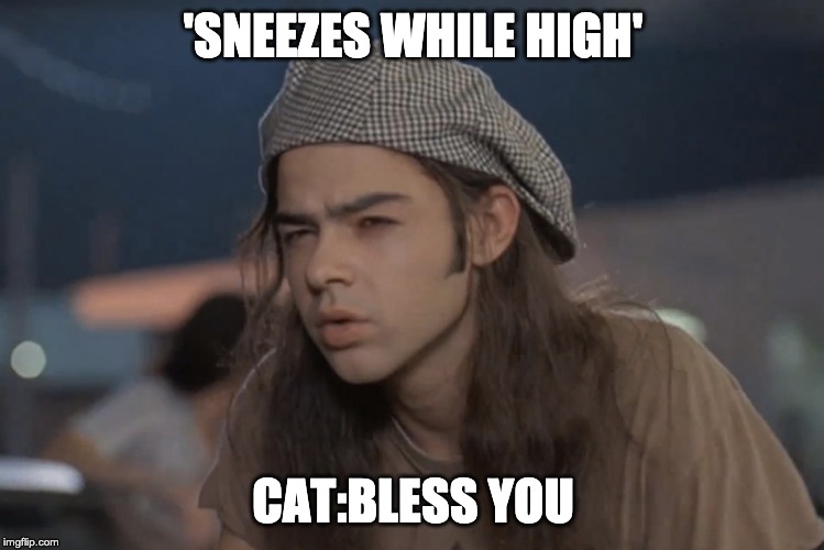 confused stoner | 'SNEEZES WHILE HIGH'; CAT:BLESS YOU | image tagged in stoner,wtf,cats,confused | made w/ Imgflip meme maker