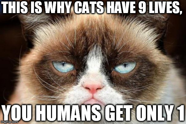 THIS IS WHY CATS HAVE 9 LIVES, YOU HUMANS GET ONLY 1 | made w/ Imgflip meme maker