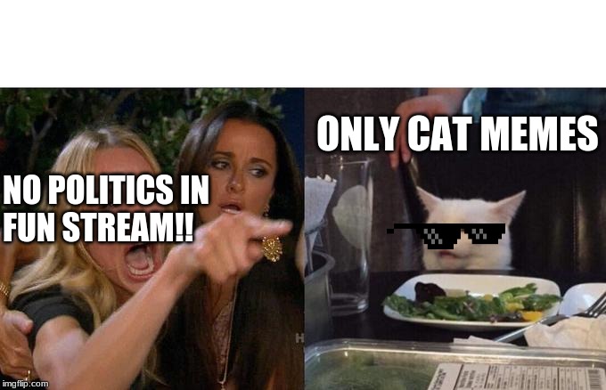 Woman Yelling At Cat Meme | NO POLITICS IN
FUN STREAM!! ONLY CAT MEMES | image tagged in memes,woman yelling at cat | made w/ Imgflip meme maker