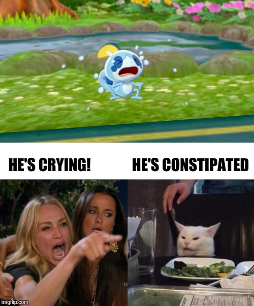 Which Is Which? | HE'S CONSTIPATED; HE'S CRYING! | image tagged in memes,woman yelling at cat,pokemon | made w/ Imgflip meme maker
