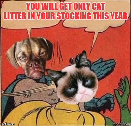 Grumpy Dog Slapping Grumpy Cat | YOU WILL GET ONLY CAT LITTER IN YOUR STOCKING THIS YEAR | image tagged in grumpy dog slapping grumpy cat | made w/ Imgflip meme maker