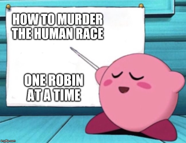 Kirby's lesson | HOW TO MURDER THE HUMAN RACE ONE ROBIN AT A TIME | image tagged in kirby's lesson | made w/ Imgflip meme maker