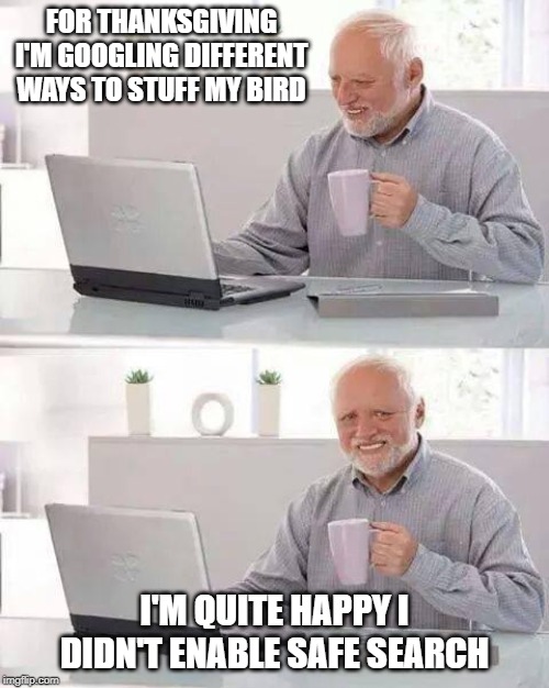 I'd pay money to see his computer screen | FOR THANKSGIVING I'M GOOGLING DIFFERENT WAYS TO STUFF MY BIRD; I'M QUITE HAPPY I DIDN'T ENABLE SAFE SEARCH | image tagged in memes,hide the pain harold,thanksgiving,turkey,stuffing | made w/ Imgflip meme maker