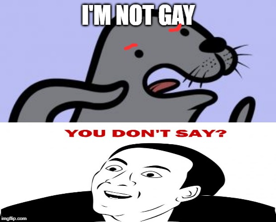 Homophobic Seal Meme | I'M NOT GAY | image tagged in memes,homophobic seal | made w/ Imgflip meme maker
