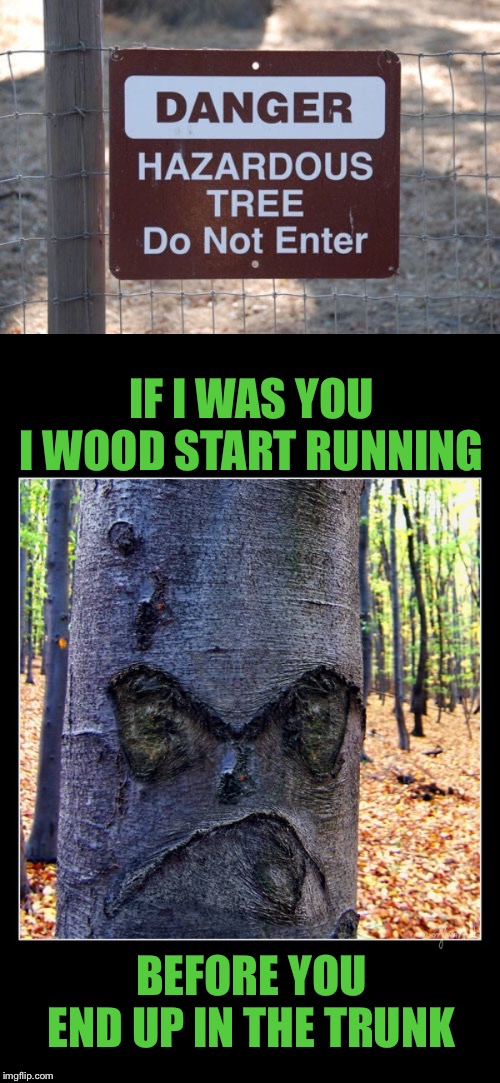 Best to leaf this place alone | IF I WAS YOU I WOOD START RUNNING; BEFORE YOU END UP IN THE TRUNK | image tagged in stupid signs,nightmare on elm street,tree,puns,confused dafuq jack sparrow what,barking mad | made w/ Imgflip meme maker
