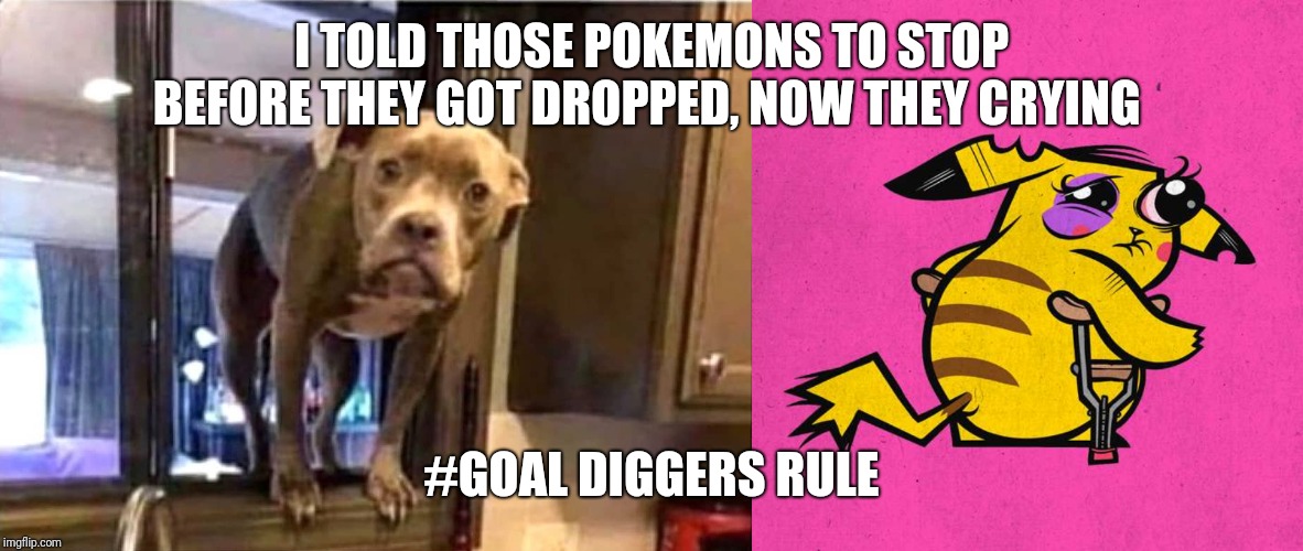 Hurt | I TOLD THOSE POKEMONS TO STOP BEFORE THEY GOT DROPPED, NOW THEY CRYING; #GOAL DIGGERS RULE | image tagged in cats | made w/ Imgflip meme maker