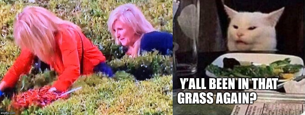 You in the grass Auburn fan | Y’ALL BEEN IN THAT
                                                      GRASS AGAIN? | image tagged in auburn,ironbowl,weed,grass,cat,woman yelling at cat | made w/ Imgflip meme maker