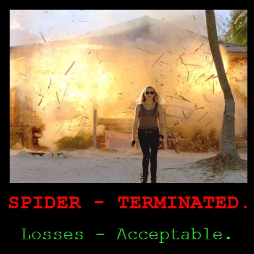 How Texans kill spiders. | image tagged in funny,demotivationals,explosions,crazy lady,texas | made w/ Imgflip demotivational maker