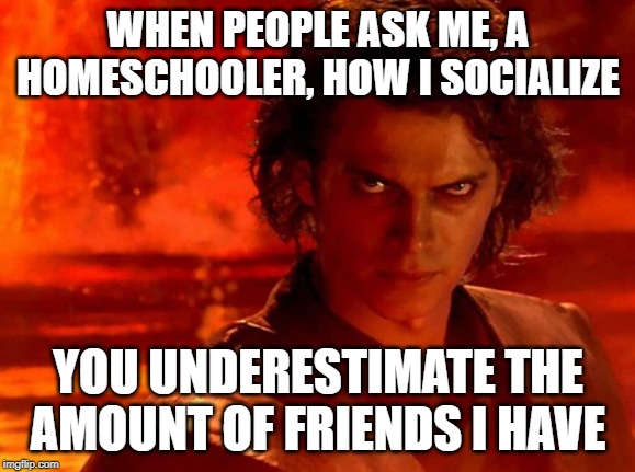You Underestimate My Power | WHEN PEOPLE ASK ME, A HOMESCHOOLER, HOW I SOCIALIZE; YOU UNDERESTIMATE THE AMOUNT OF FRIENDS I HAVE | image tagged in memes,you underestimate my power | made w/ Imgflip meme maker