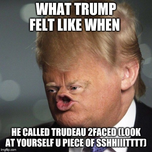 WHAT TRUMP FELT LIKE WHEN; HE CALLED TRUDEAU 2FACED (LOOK AT YOURSELF U PIECE OF SSHHIIITTTT) | image tagged in trump is an asshole | made w/ Imgflip meme maker