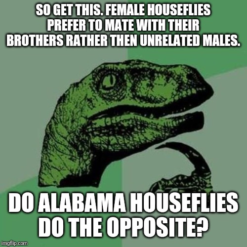 I know its stereotypical but it actually puzzles me. | SO GET THIS. FEMALE HOUSEFLIES PREFER TO MATE WITH THEIR BROTHERS RATHER THEN UNRELATED MALES. DO ALABAMA HOUSEFLIES DO THE OPPOSITE? | image tagged in raptor,alabama,flies | made w/ Imgflip meme maker