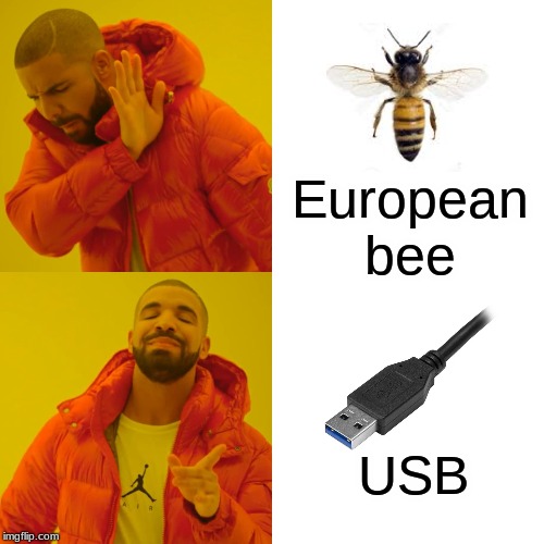 The better B. | European bee; USB | image tagged in drake hotline bling,meme | made w/ Imgflip meme maker