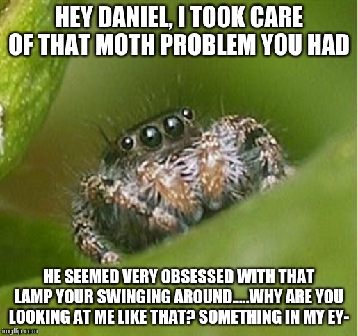 Misunderstood Spider | HEY DANIEL, I TOOK CARE OF THAT MOTH PROBLEM YOU HAD; HE SEEMED VERY OBSESSED WITH THAT LAMP YOUR SWINGING AROUND.....WHY ARE YOU LOOKING AT ME LIKE THAT? SOMETHING IN MY EY- | image tagged in misunderstood spider | made w/ Imgflip meme maker