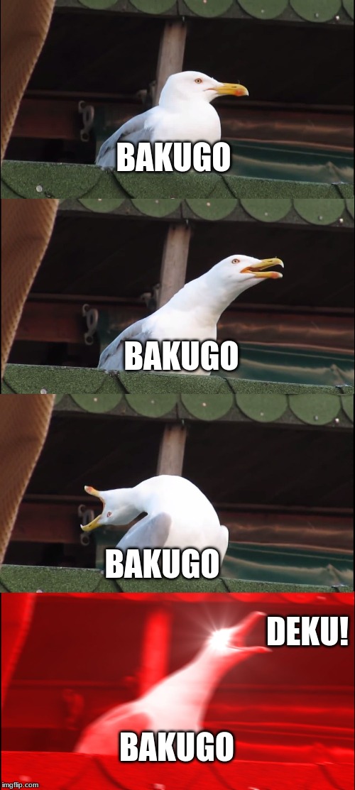Inhaling Seagull | BAKUGO; BAKUGO; BAKUGO; DEKU! BAKUGO | image tagged in memes,inhaling seagull | made w/ Imgflip meme maker