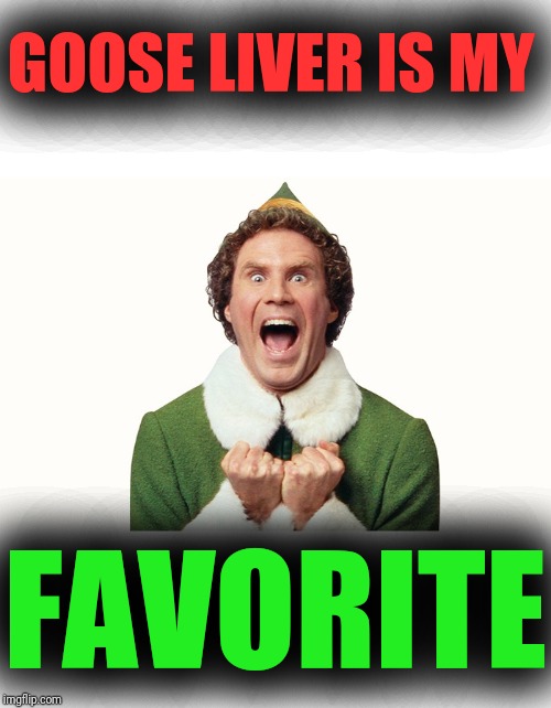 Buddy the elf excited | GOOSE LIVER IS MY FAVORITE | image tagged in buddy the elf excited | made w/ Imgflip meme maker