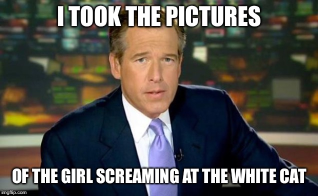 Brian Williams Was There | I TOOK THE PICTURES; OF THE GIRL SCREAMING AT THE WHITE CAT | image tagged in memes,brian williams was there | made w/ Imgflip meme maker