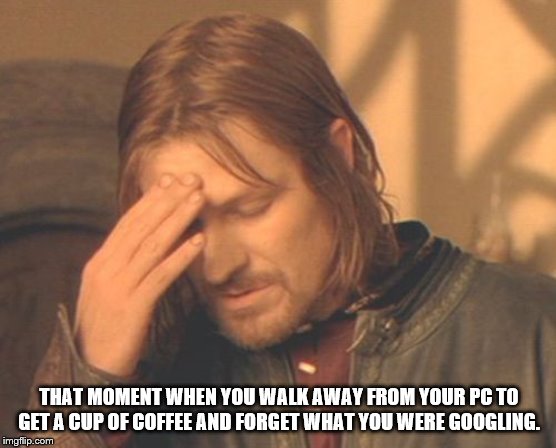 Forgot What I was Googling | THAT MOMENT WHEN YOU WALK AWAY FROM YOUR PC TO GET A CUP OF COFFEE AND FORGET WHAT YOU WERE GOOGLING. | image tagged in memes,frustrated boromir,forgetfullness,getting old | made w/ Imgflip meme maker