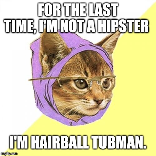 Hipster Kitty | FOR THE LAST TIME, I'M NOT A HIPSTER; I'M HAIRBALL TUBMAN. | image tagged in memes,hipster kitty | made w/ Imgflip meme maker